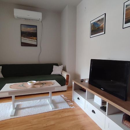 Vila Zora Apartman Banja Koviljača Eksteriør bilde