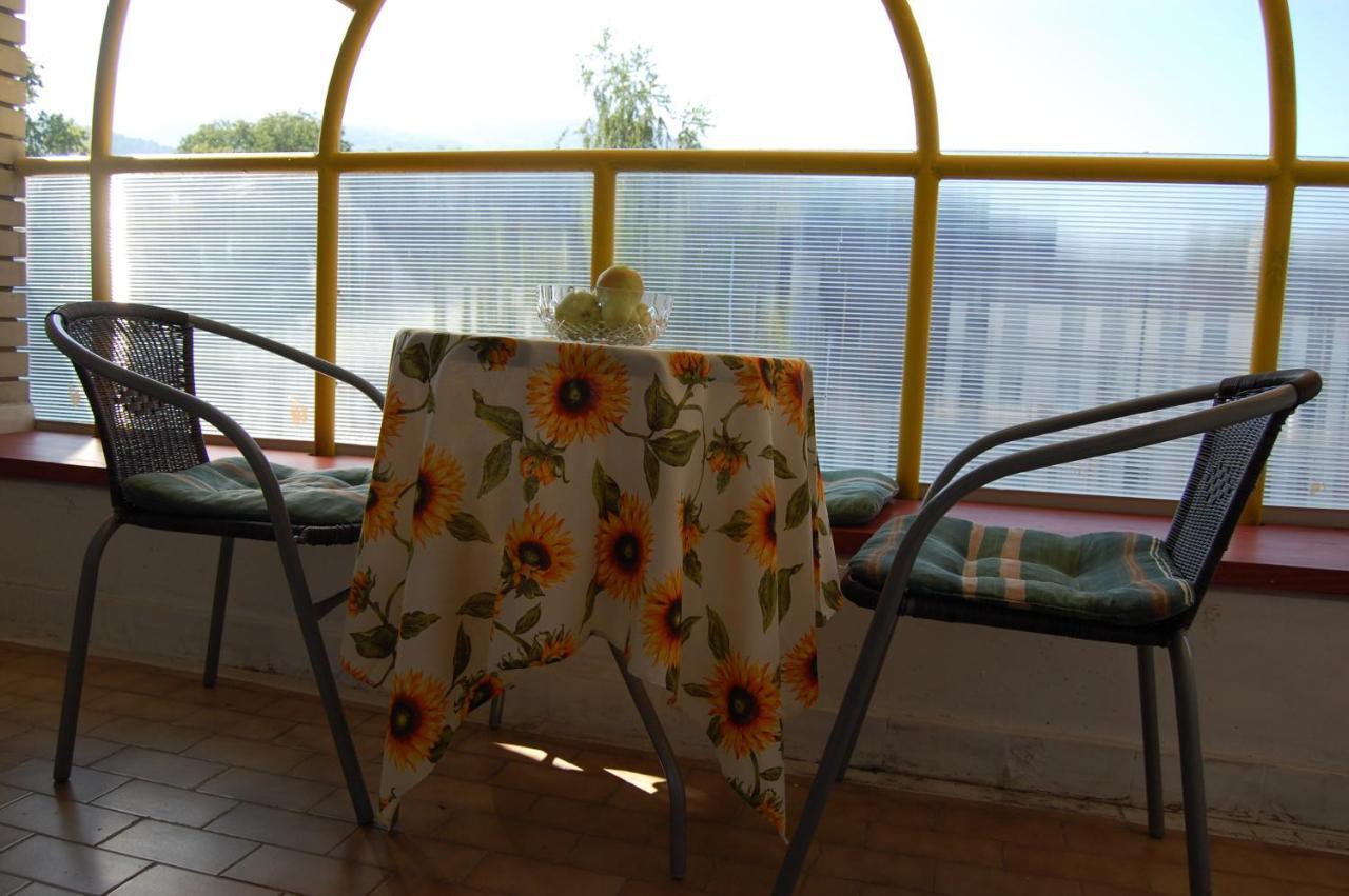 Vila Zora Apartman Banja Koviljača Eksteriør bilde